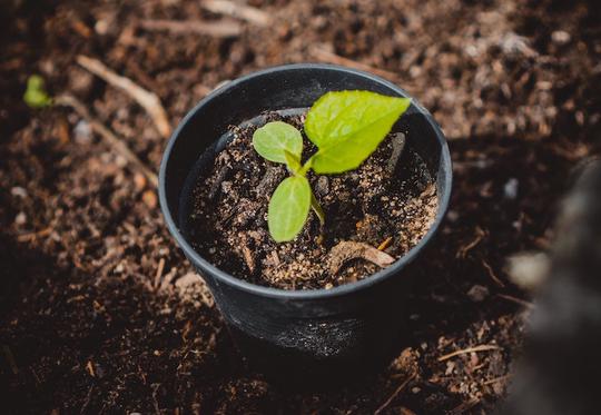 A 'Legal Food Hub' for Nova Scotia?